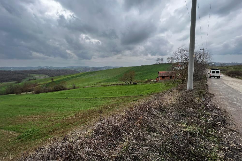 DERİNCE TAHTALI'DA ASFALTA CEPHE FIRSAT TARLA