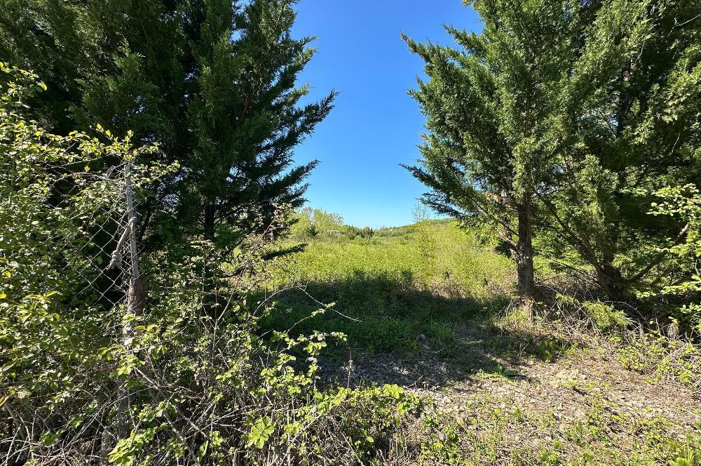 Şile Kurfallı'da 1900m² Satılık Arsa