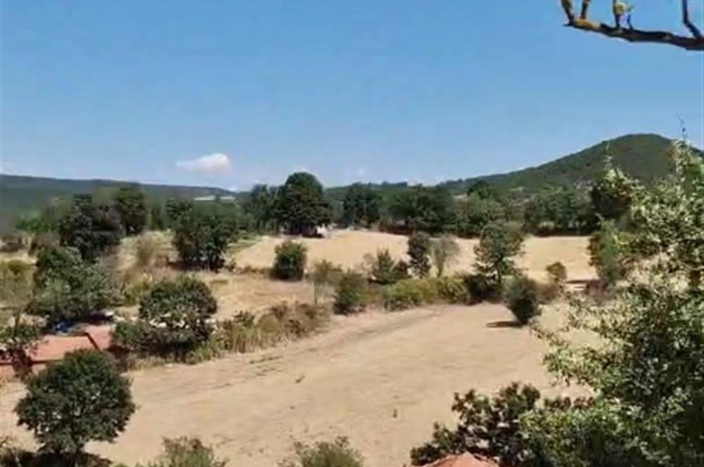 Balıkesir İvrindi'de Tarla