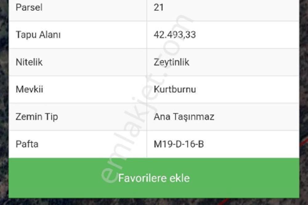 Aydın Söke Köprüalan Da Yatırım Fırsatı Zeytinlik
