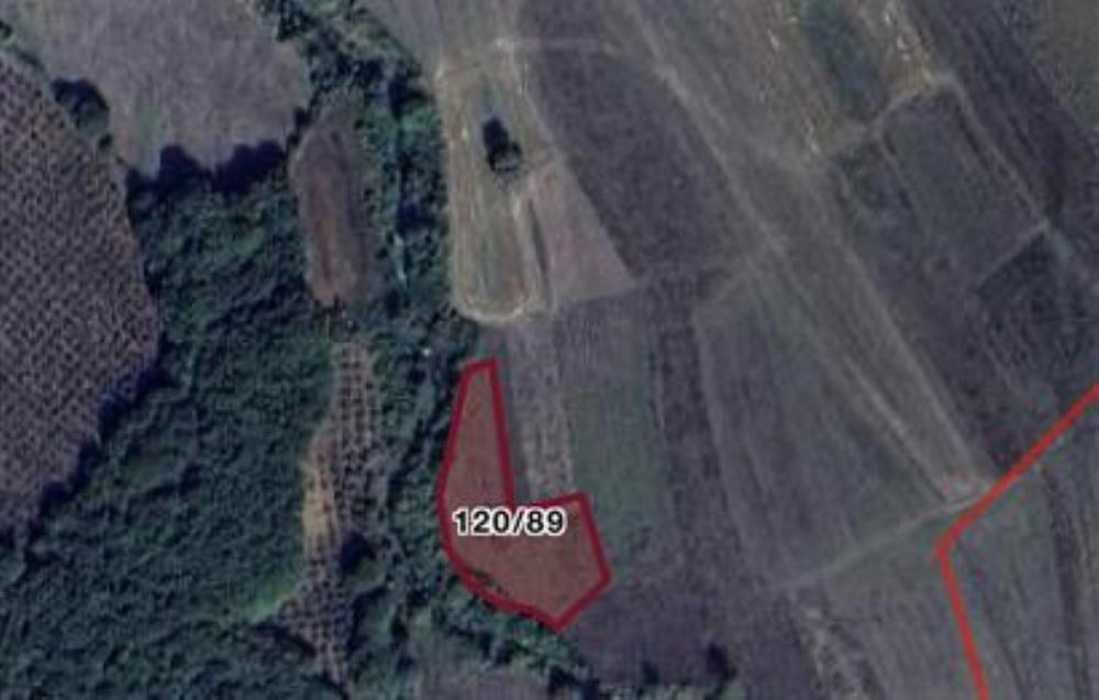 Kandıra/Bolu Satılık 2195M2 Tarla